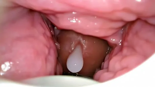 Imagen del video Cámara dentro del coño graba una corrida interna